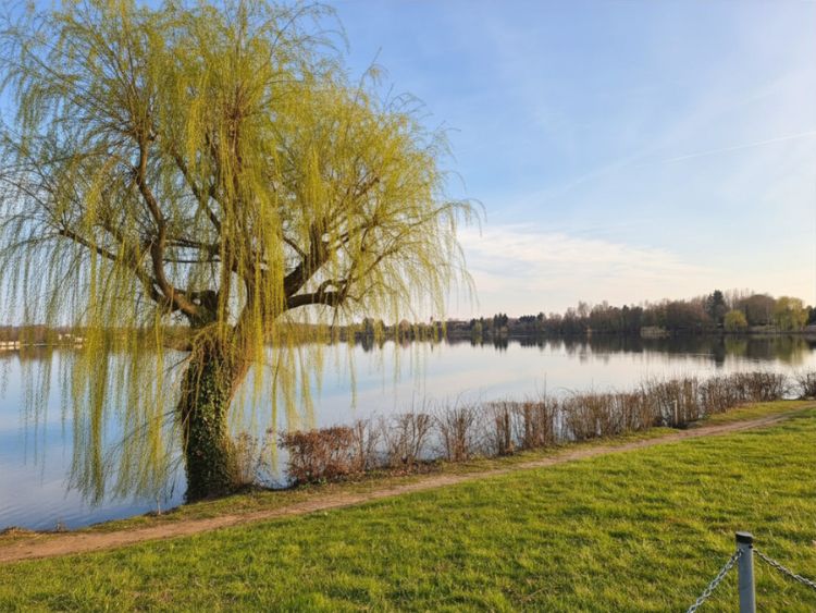 Öffentliche Liegewiese am See